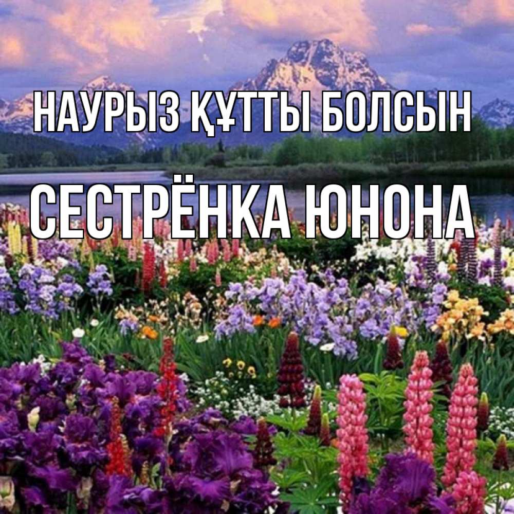 Открытка на каждый день с именем, Сестрёнка-Юнона Наурыз құтты болсын наурыз Прикольная открытка с пожеланием онлайн скачать бесплатно 