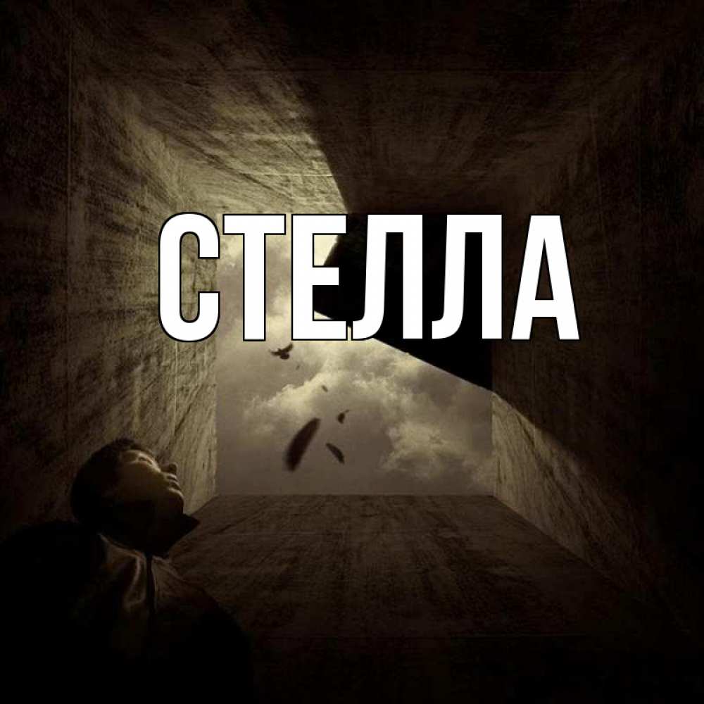 Открытка на каждый день с именем, Стелла Главная тут Прикольная открытка с пожеланием онлайн скачать бесплатно 