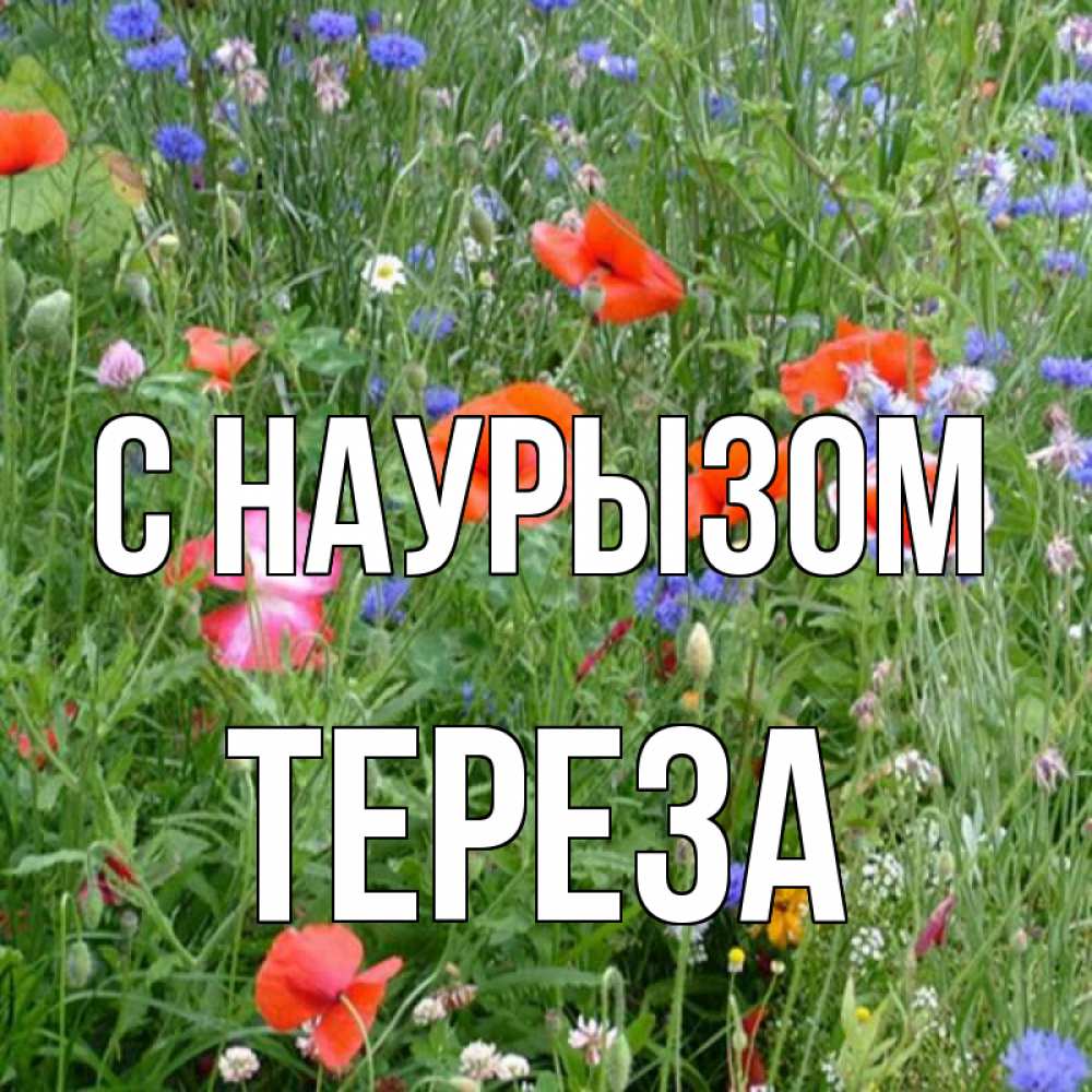 Открытка на каждый день с именем, Тереза С наурызом праздник весны наурыз супер открытка Прикольная открытка с пожеланием онлайн скачать бесплатно 