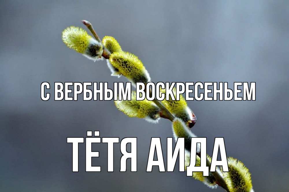 Открытка на каждый день с именем, Тётя-Аида С вербным воскресеньем верба Прикольная открытка с пожеланием онлайн скачать бесплатно 