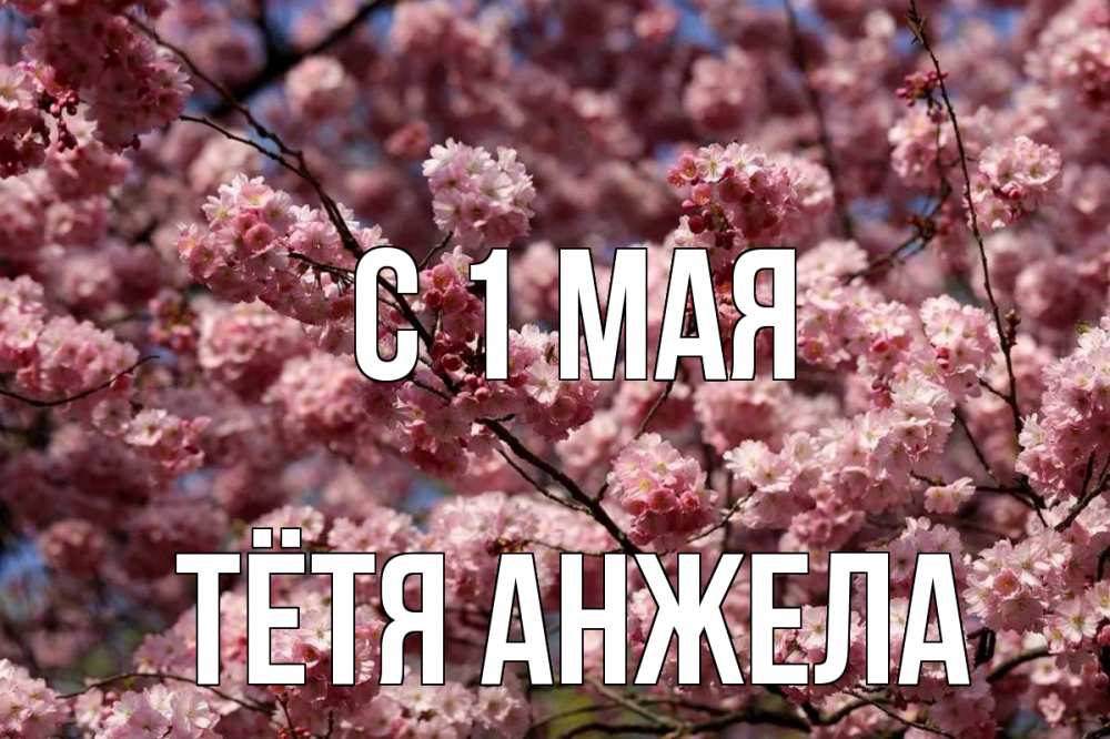 Открытка на каждый день с именем, Тётя-Анжела С 1 мая С 1 мая Прикольная открытка с пожеланием онлайн скачать бесплатно 