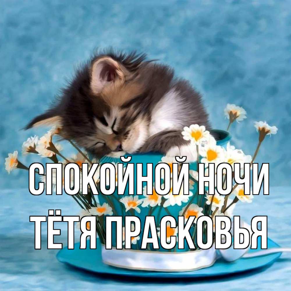 Открытка на каждый день с именем, Тётя-Прасковья Спокойной ночи котенок спит в кружке с блюдцем Прикольная открытка с пожеланием онлайн скачать бесплатно 