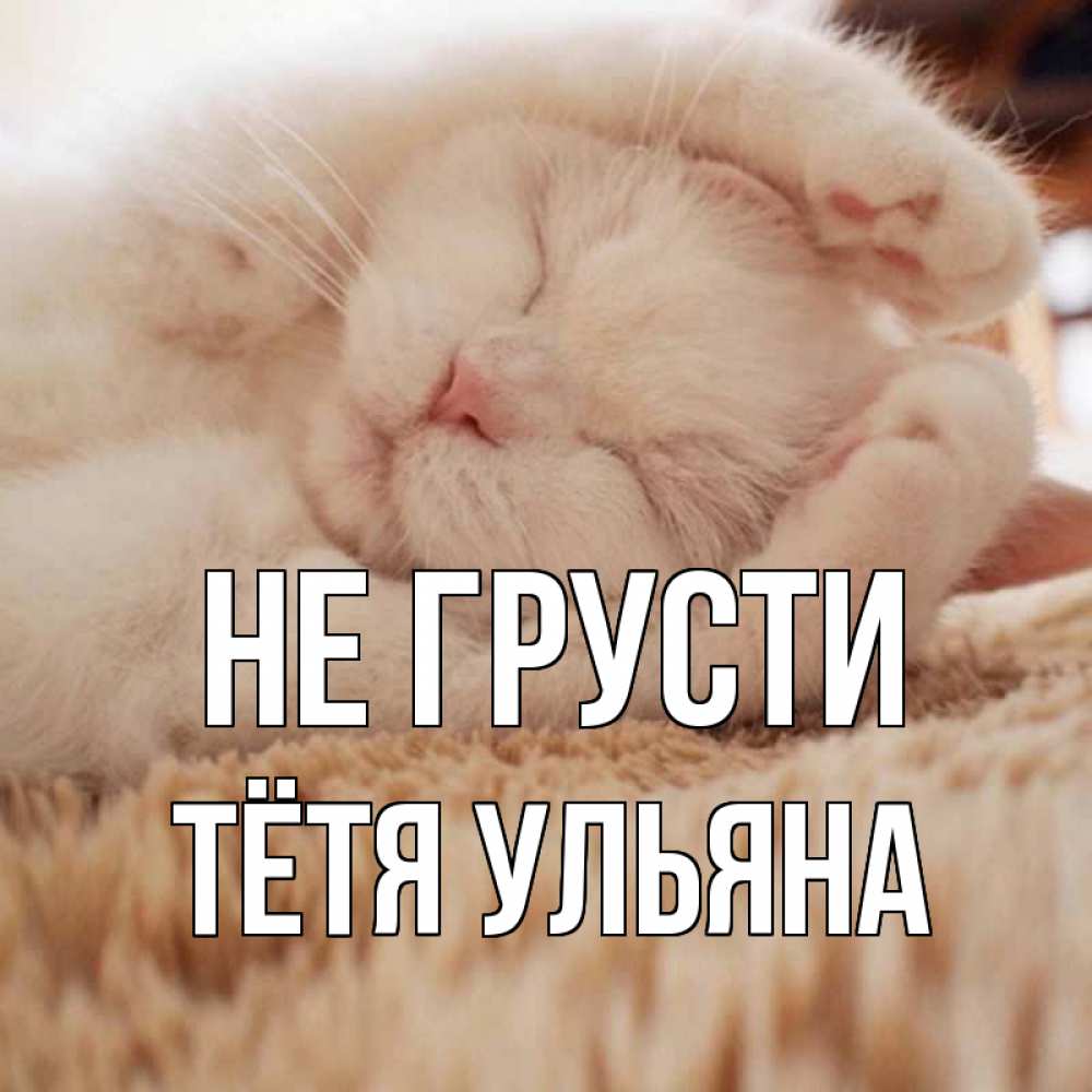 Открытка на каждый день с именем, Тётя-Ульяна Не грусти белый кот Прикольная открытка с пожеланием онлайн скачать бесплатно 