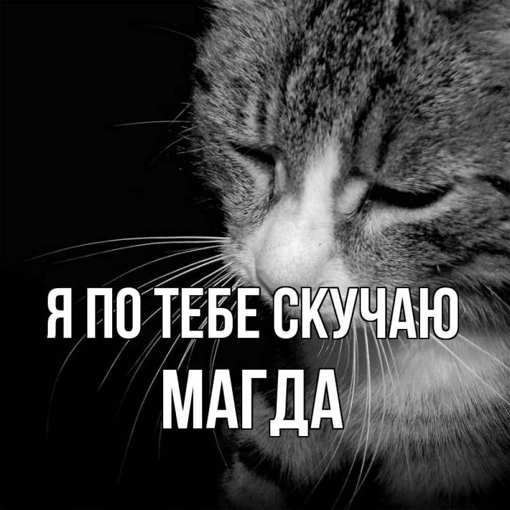 Открытка на каждый день с именем, Магда Я по тебе скучаю мне скучно Прикольная открытка с пожеланием онлайн скачать бесплатно 
