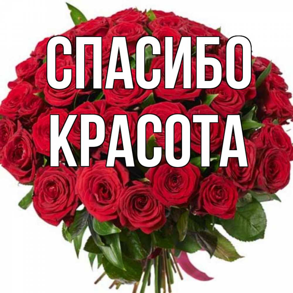 Открытка с именем Красота Спасибо картинки. Открытки на каждый день с  именами и пожеланиями.