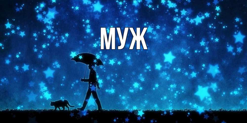 Открытка на каждый день с именем, муж Главная ночные прогулки с котом под звездами Прикольная открытка с пожеланием онлайн скачать бесплатно 