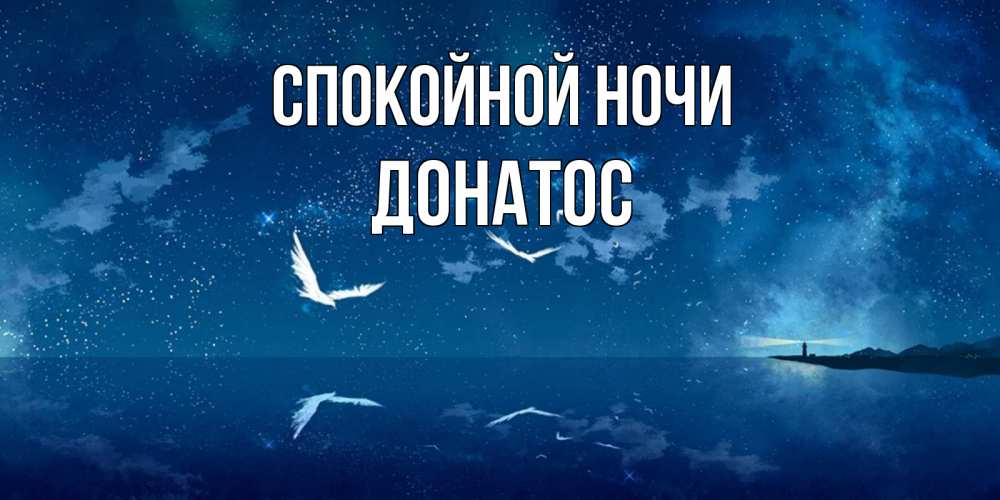 Открытка на каждый день с именем, Донатос Спокойной ночи птицы летят на фоне ночного неба Прикольная открытка с пожеланием онлайн скачать бесплатно 