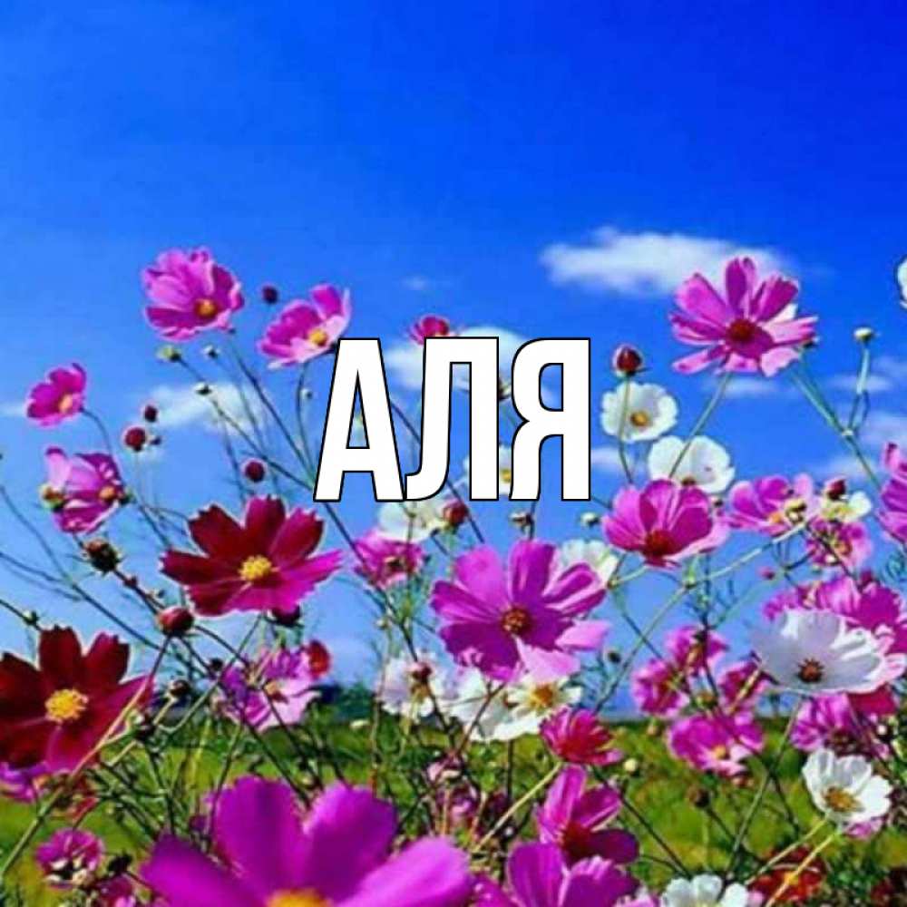 Открытка на каждый день с именем, Аля Главная цветы Прикольная открытка с пожеланием онлайн скачать бесплатно 