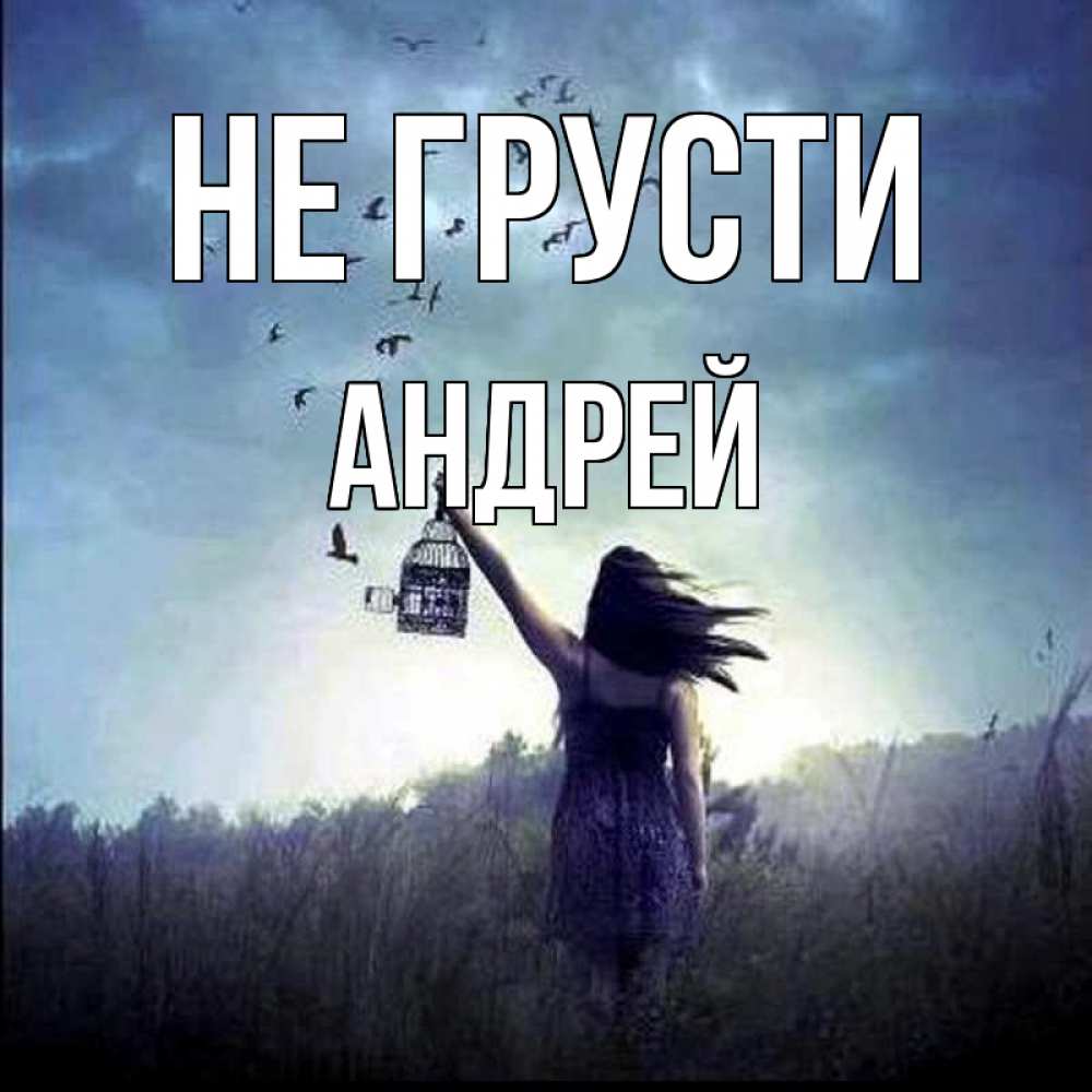 Открытка на каждый день с именем, Андрей Не грусти на волю Прикольная открытка с пожеланием онлайн скачать бесплатно 