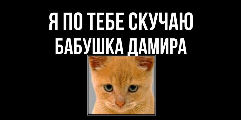 Открытка на каждый день с именем, Бабушка-Дамира Я по тебе скучаю открытки рыжий котенок скучает по тебе Прикольная открытка с пожеланием онлайн скачать бесплатно 
