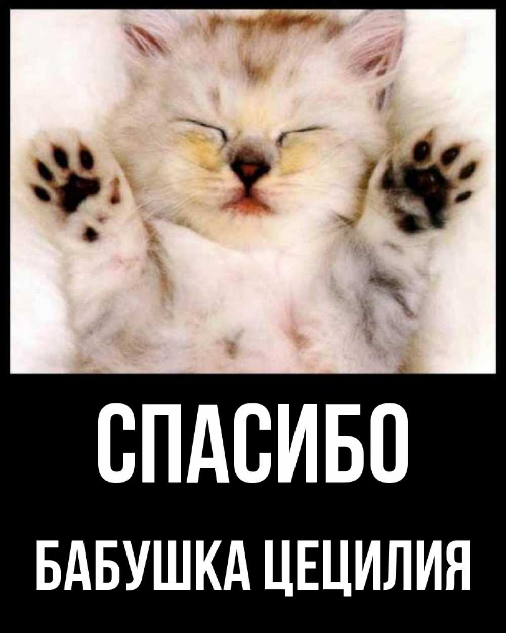 Открытка на каждый день с именем, Бабушка-Цецилия Спасибо маленький котенок Прикольная открытка с пожеланием онлайн скачать бесплатно 