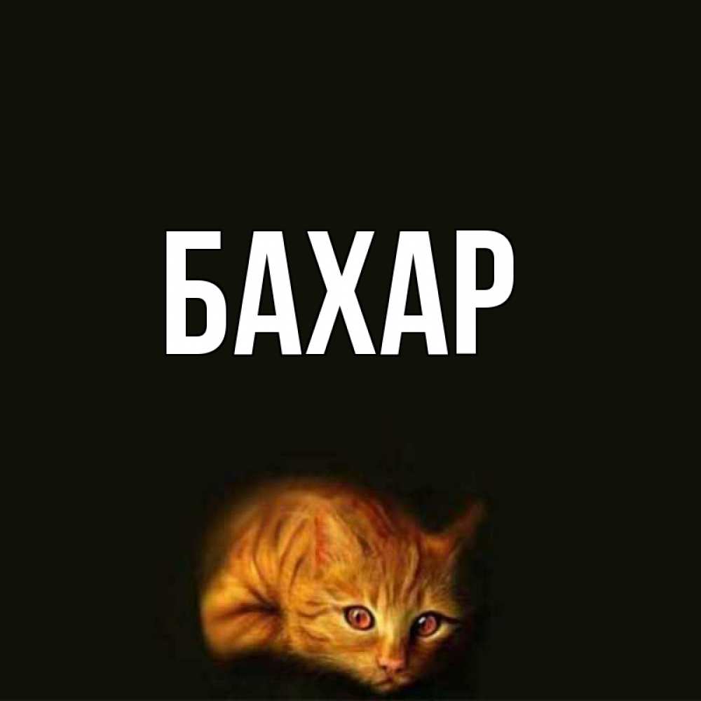 Открытка на каждый день с именем, Бахар Главная рыжий Прикольная открытка с пожеланием онлайн скачать бесплатно 