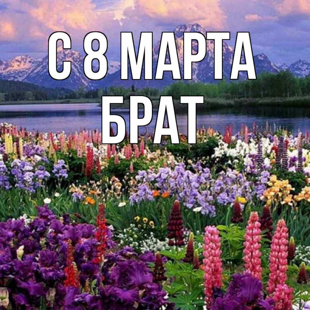 Открытка на каждый день с именем, Брат С 8 марта международный женский день Прикольная открытка с пожеланием онлайн скачать бесплатно 