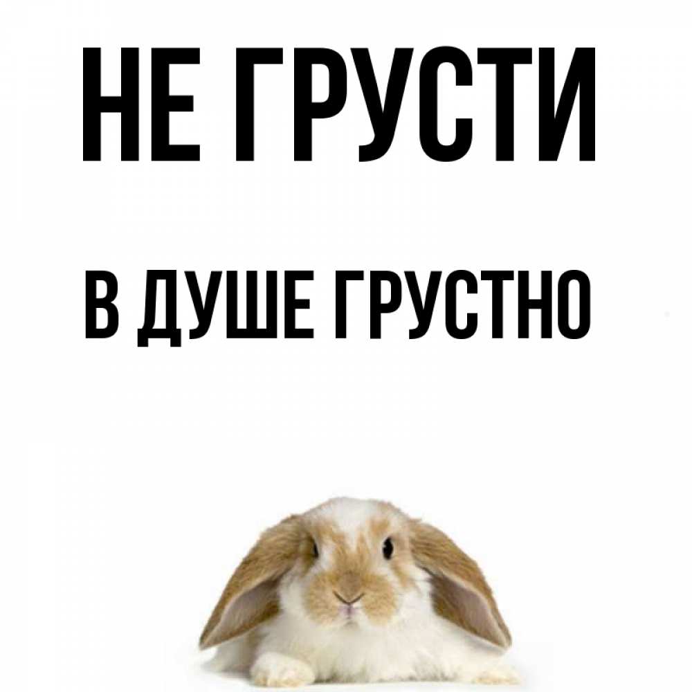Открытка на каждый день с именем, В-душе-грустно Не грусти коричнево белый заяц с большими ушками Прикольная открытка с пожеланием онлайн скачать бесплатно 