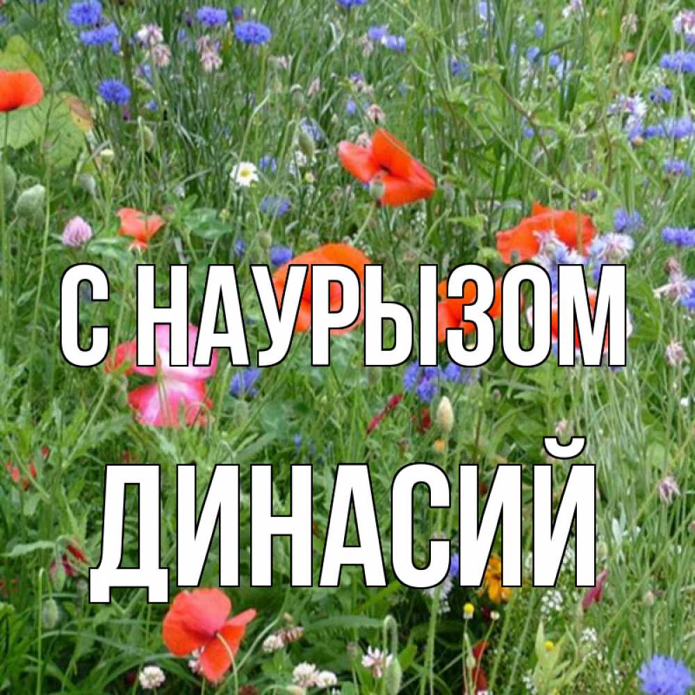 Открытка на каждый день с именем, Динасий С наурызом праздник весны наурыз супер открытка Прикольная открытка с пожеланием онлайн скачать бесплатно 
