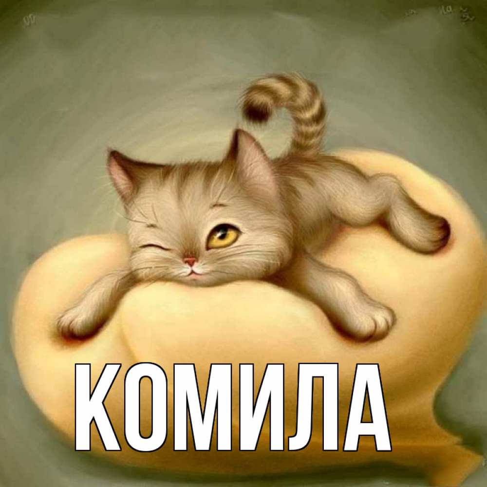 Открытка на каждый день с именем, Комила Главная кошечка Прикольная открытка с пожеланием онлайн скачать бесплатно 