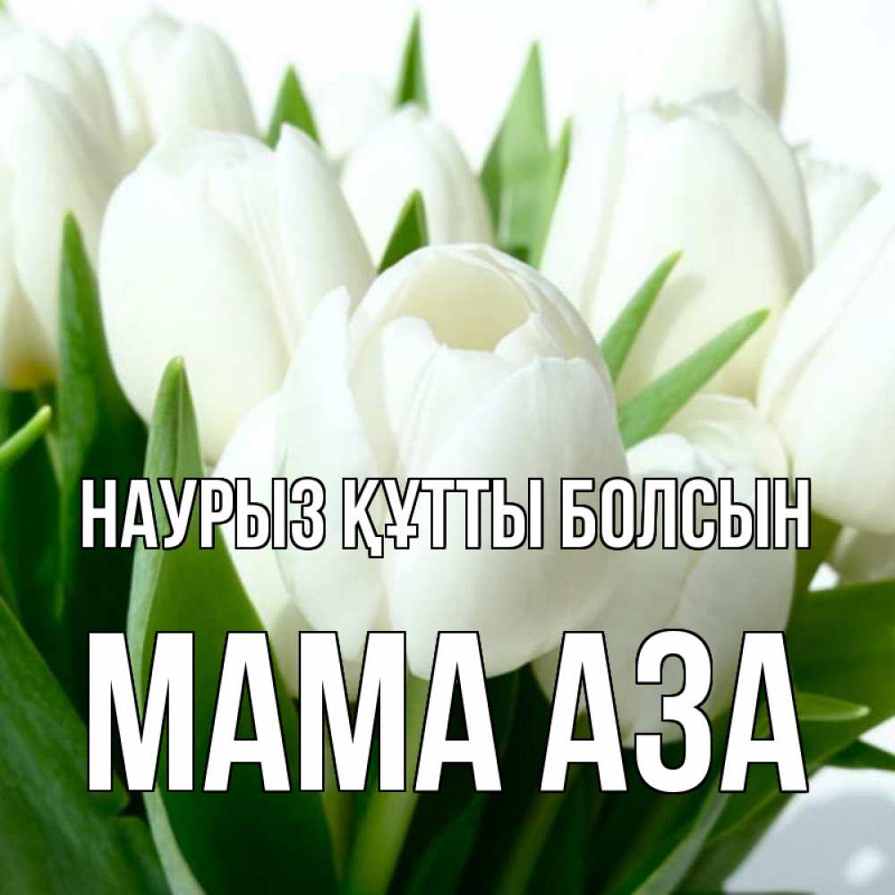Открытка на каждый день с именем, Мама-Аза Наурыз құтты болсын цветы Прикольная открытка с пожеланием онлайн скачать бесплатно 
