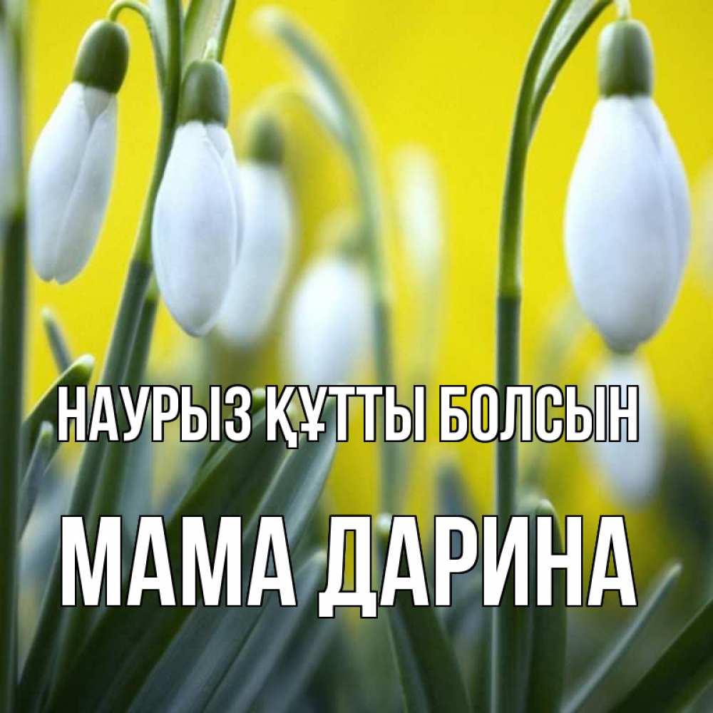 Открытка на каждый день с именем, Мама-Дарина Наурыз құтты болсын весенние цветы Прикольная открытка с пожеланием онлайн скачать бесплатно 