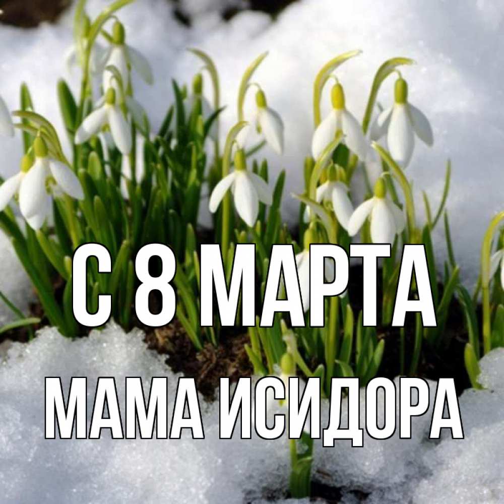 Открытка на каждый день с именем, Мама-Исидора С 8 МАРТА цветы весенние Прикольная открытка с пожеланием онлайн скачать бесплатно 