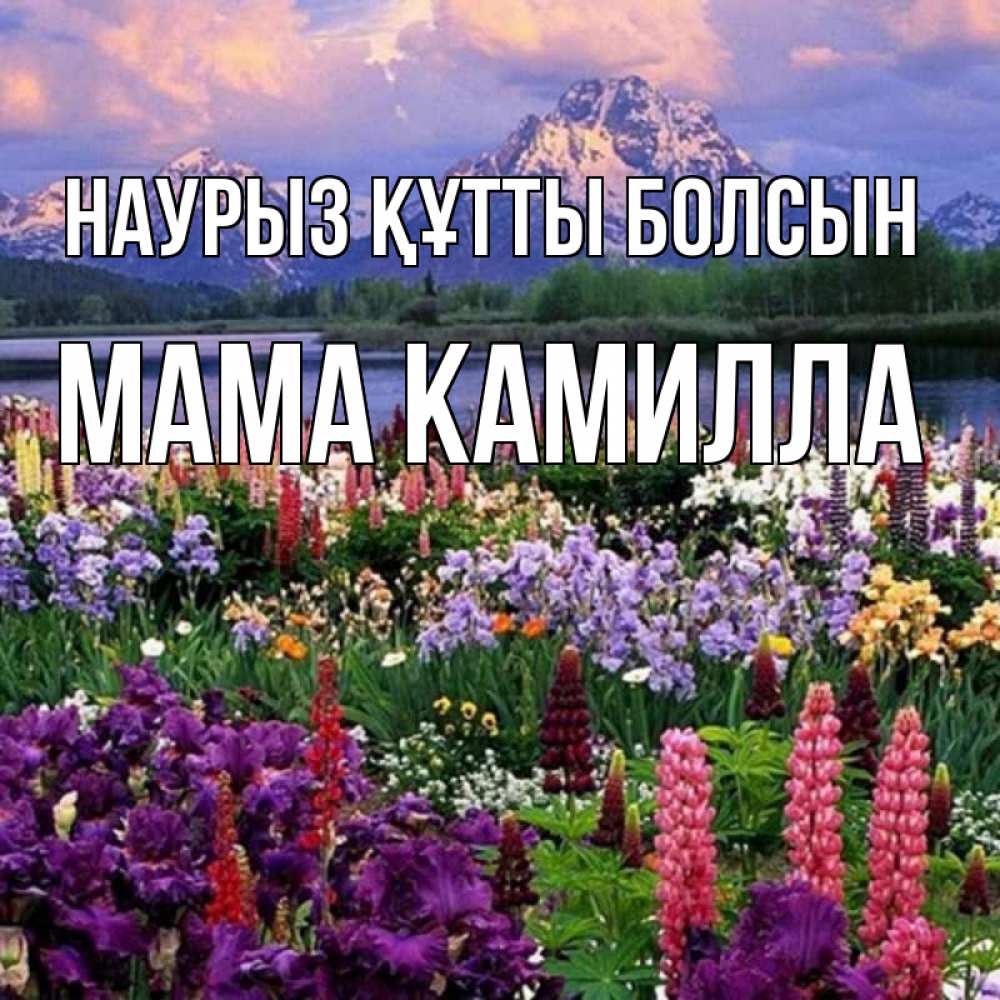 Открытка на каждый день с именем, Мама-Камилла Наурыз құтты болсын наурыз Прикольная открытка с пожеланием онлайн скачать бесплатно 