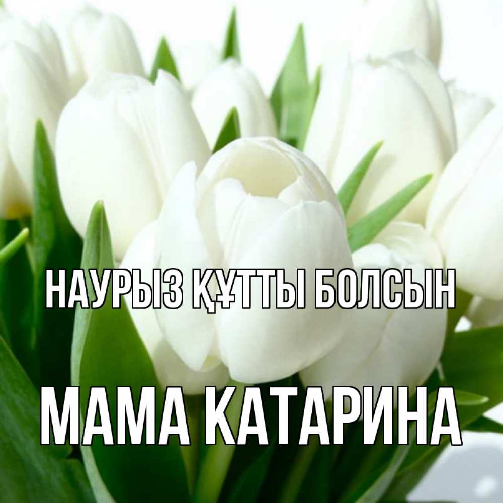 Открытка на каждый день с именем, Мама-Катарина Наурыз құтты болсын цветы Прикольная открытка с пожеланием онлайн скачать бесплатно 