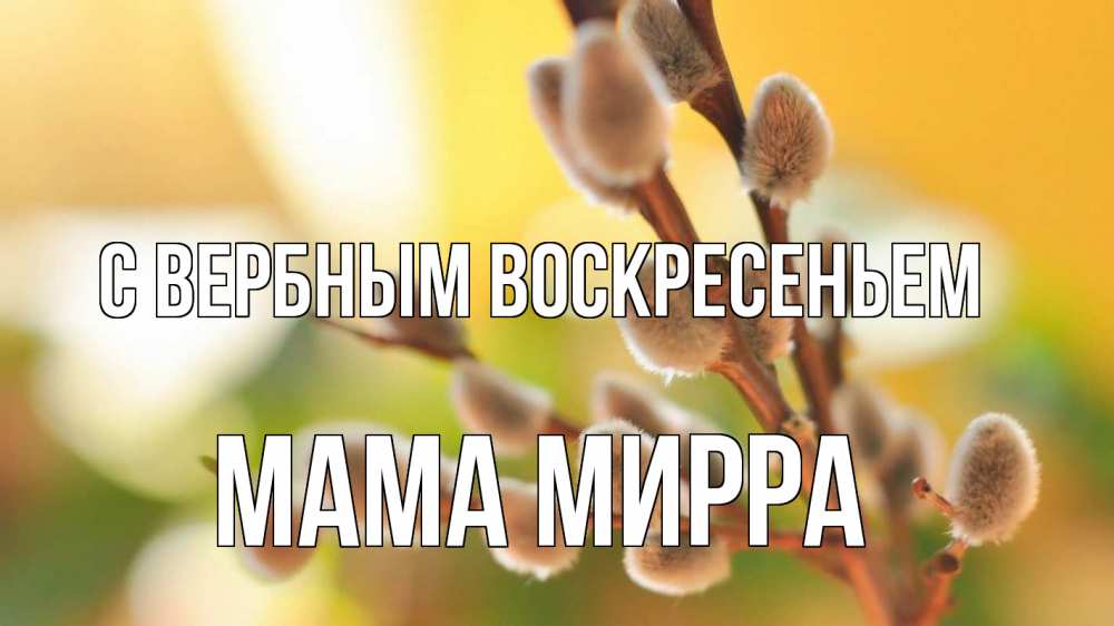 Открытка на каждый день с именем, Мама-Мирра С вербным воскресеньем верба 1 Прикольная открытка с пожеланием онлайн скачать бесплатно 