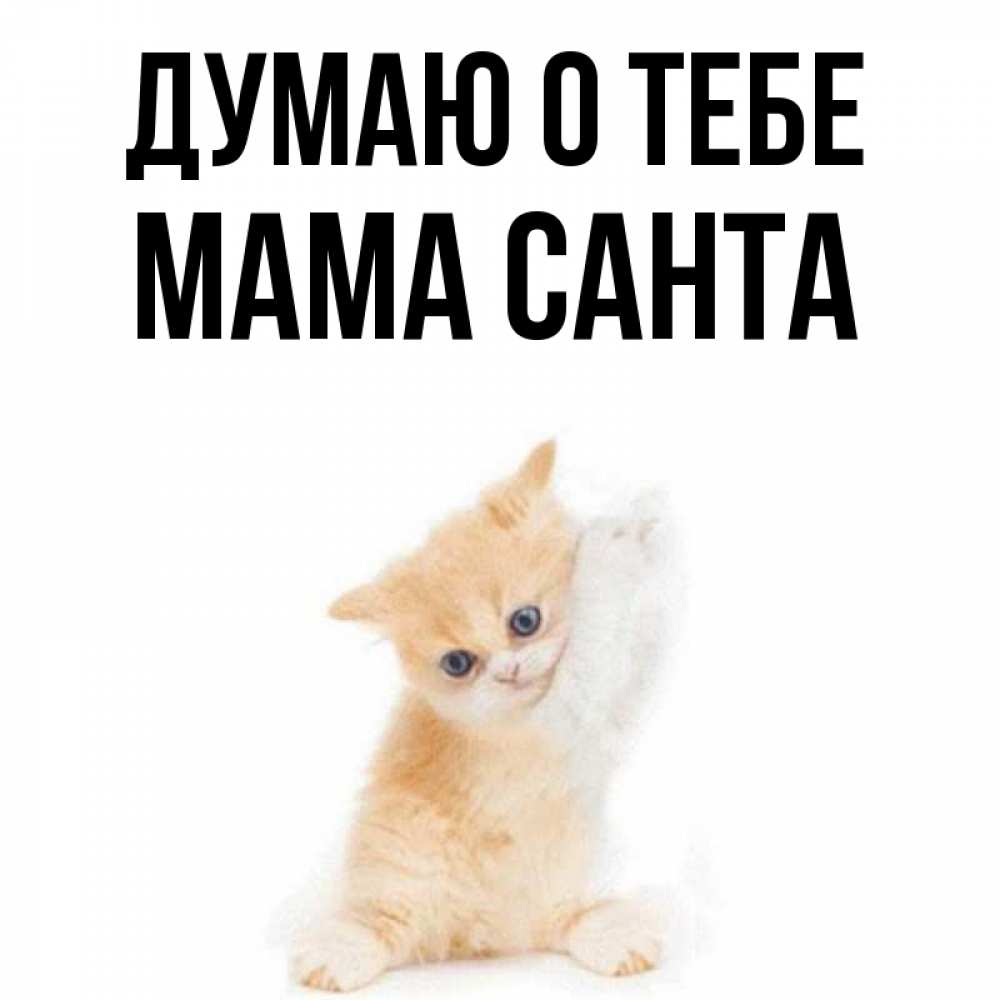 Открытка на каждый день с именем, Мама-Санта Думаю о тебе зверушки и милота Прикольная открытка с пожеланием онлайн скачать бесплатно 