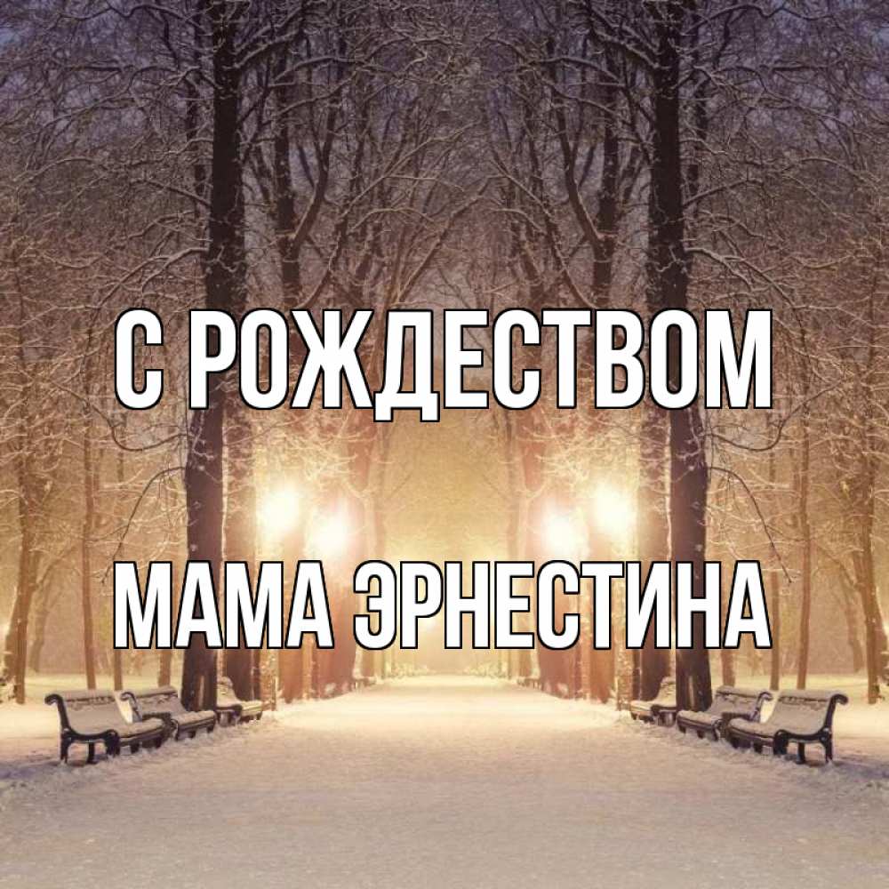Открытка на каждый день с именем, Мама-Эрнестина С рождеством зима, парк, фонарь, лес Прикольная открытка с пожеланием онлайн скачать бесплатно 