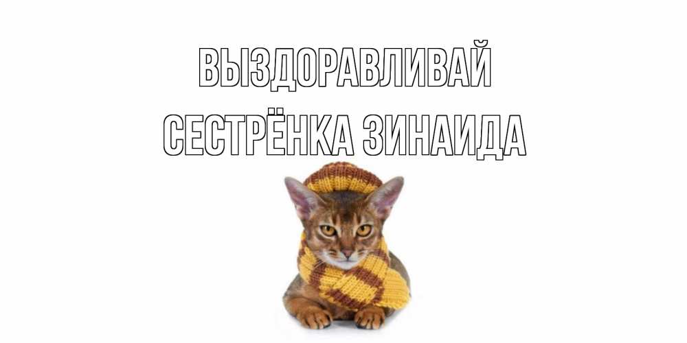 Открытка на каждый день с именем, Сестрёнка-Зинаида Выздоравливай родные не болейте Прикольная открытка с пожеланием онлайн скачать бесплатно 