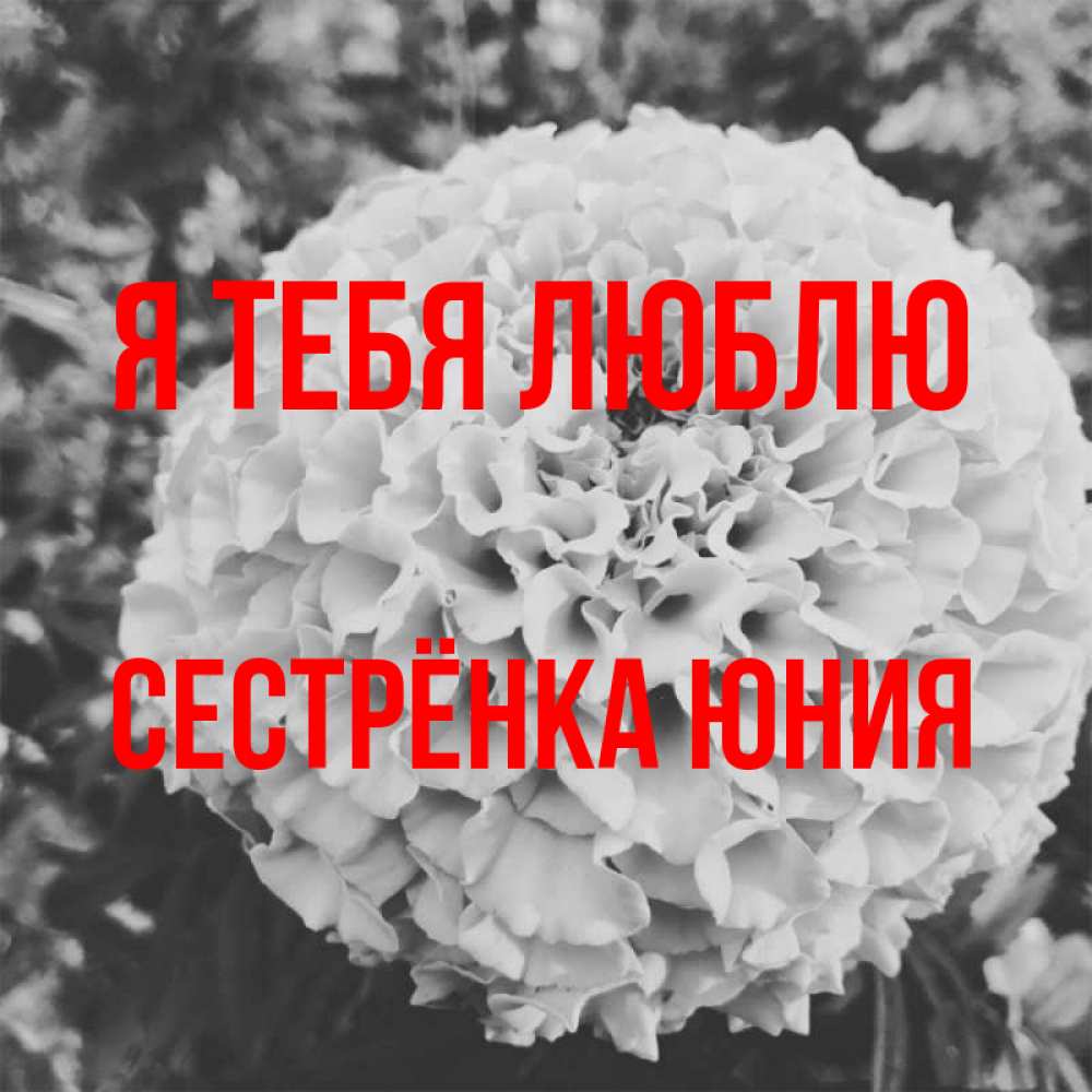 Открытка на каждый день с именем, Сестрёнка-Юния Я тебя люблю подпись Прикольная открытка с пожеланием онлайн скачать бесплатно 