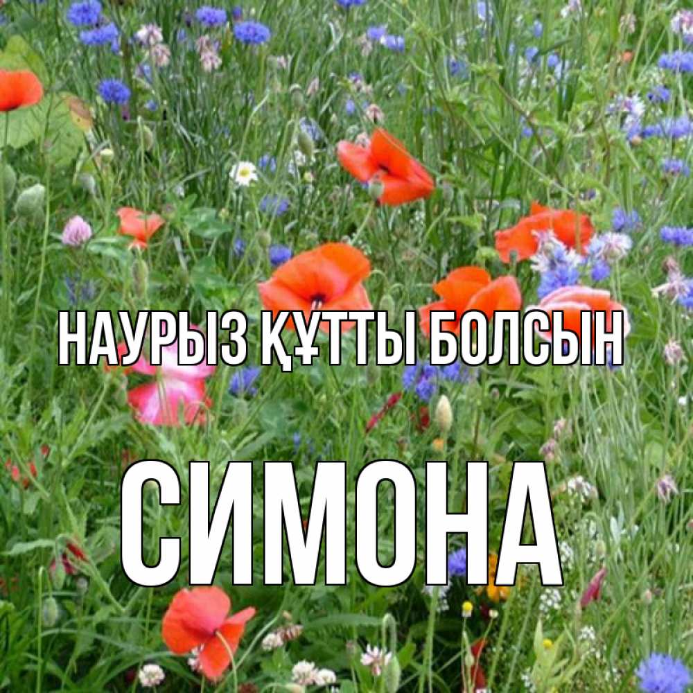 Открытка на каждый день с именем, Симона Наурыз құтты болсын наурыз  4 Прикольная открытка с пожеланием онлайн скачать бесплатно 