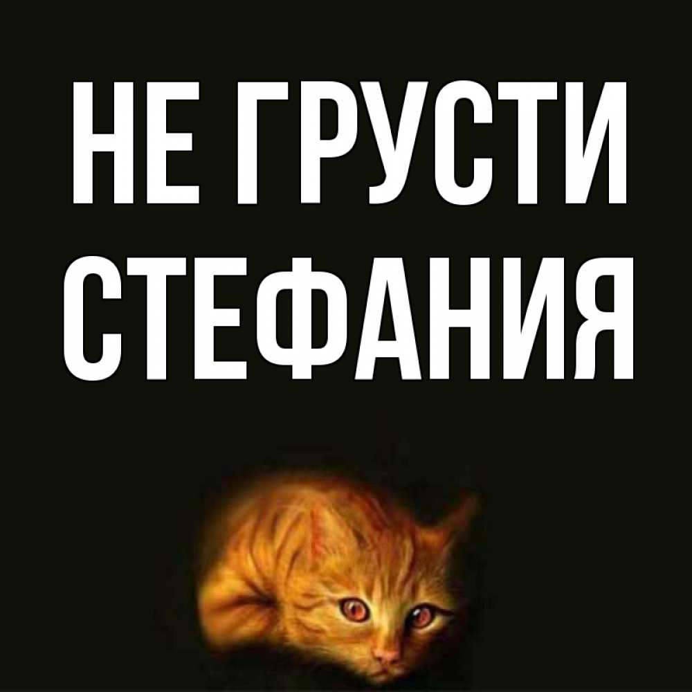 Открытка на каждый день с именем, Стефания Не грусти лежащий кот в темноте Прикольная открытка с пожеланием онлайн скачать бесплатно 