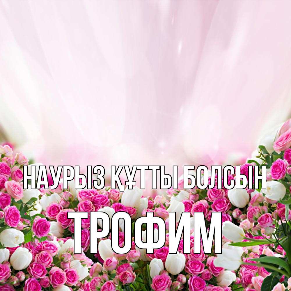 Открытка на каждый день с именем, Трофим Наурыз құтты болсын под снегом Прикольная открытка с пожеланием онлайн скачать бесплатно 