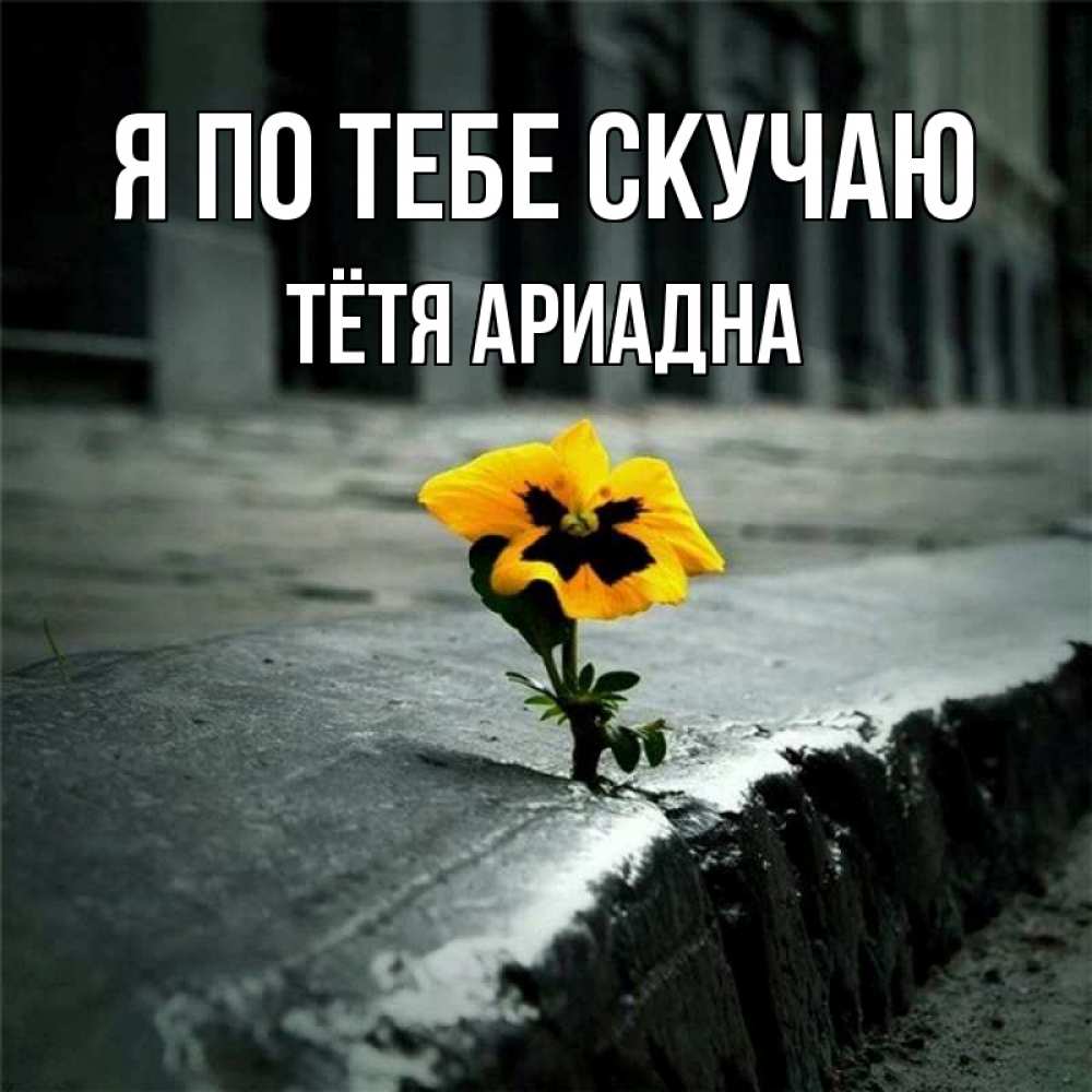 Открытка на каждый день с именем, Тётя-Ариадна Я по тебе скучаю надеюсь будет лучше Прикольная открытка с пожеланием онлайн скачать бесплатно 