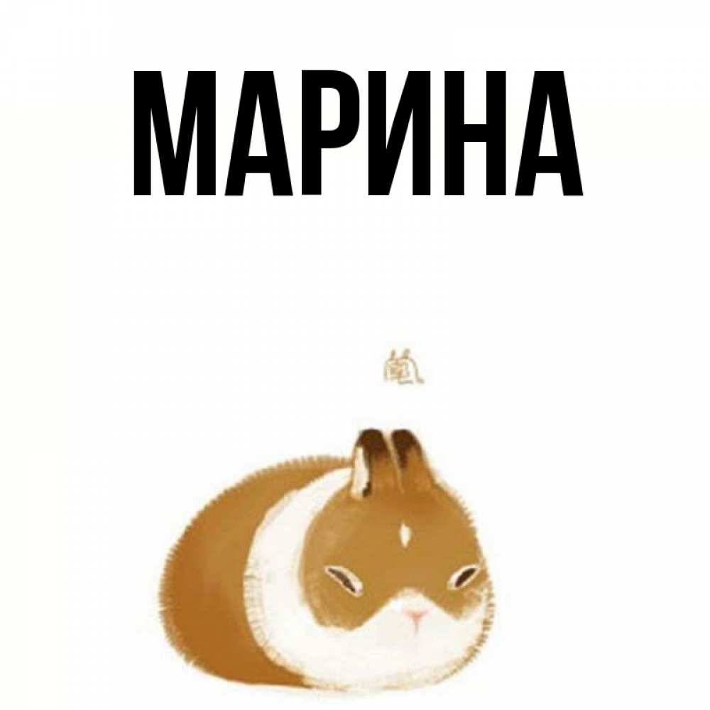 Открытка на каждый день с именем, Марина Главная коричнево белый домашний питомец Прикольная открытка с пожеланием онлайн скачать бесплатно 