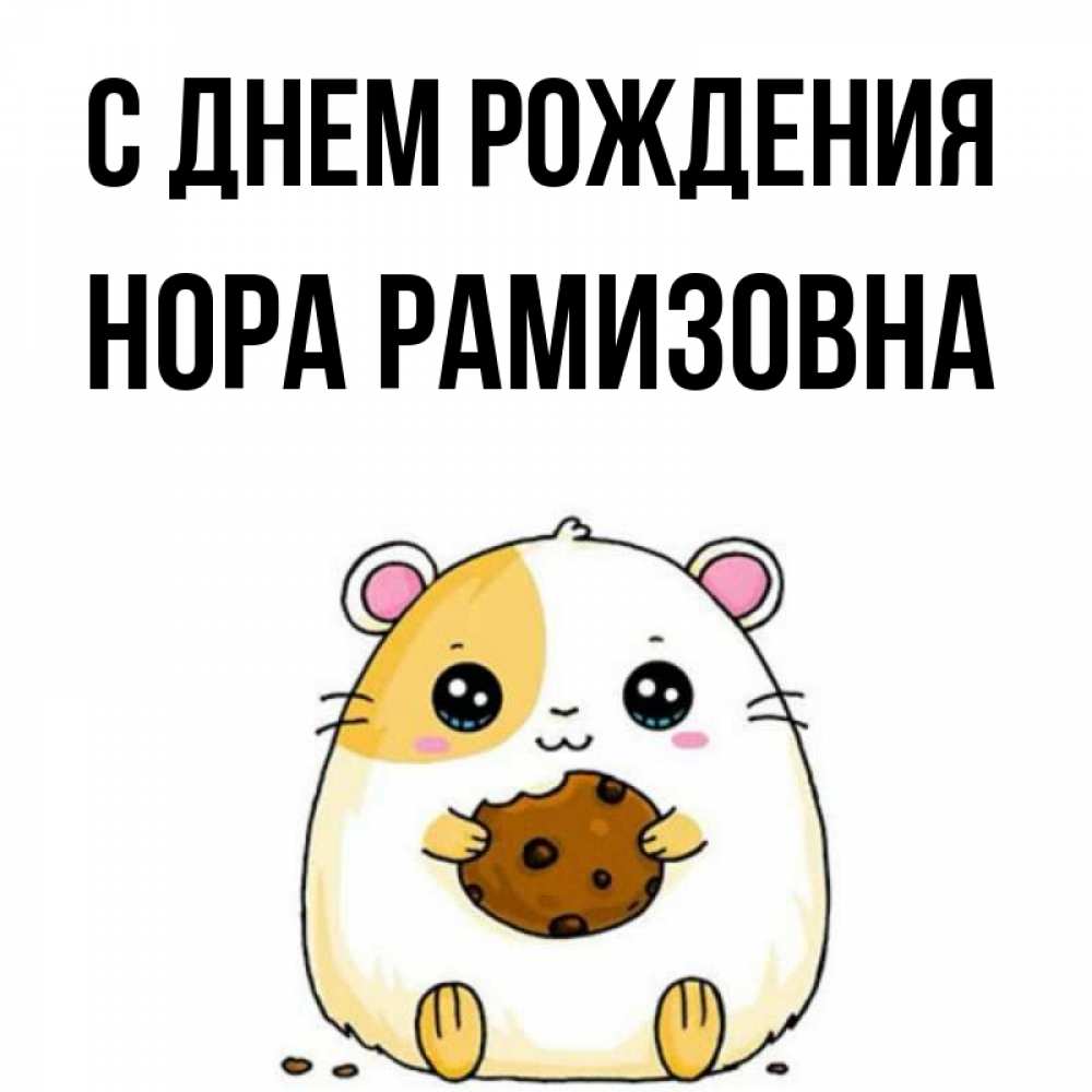 Картинка С днем рождения, Нора Рамизовна