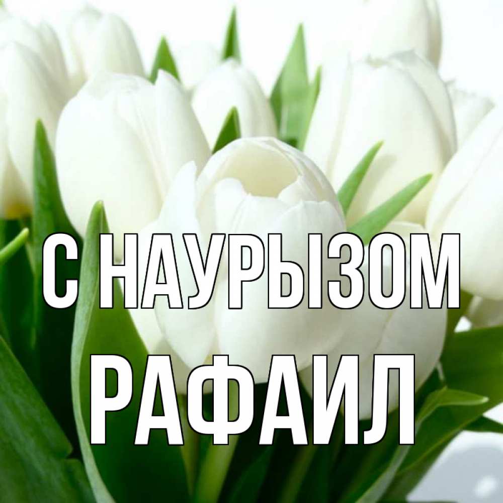 Картинка С наурызом, Рафаил