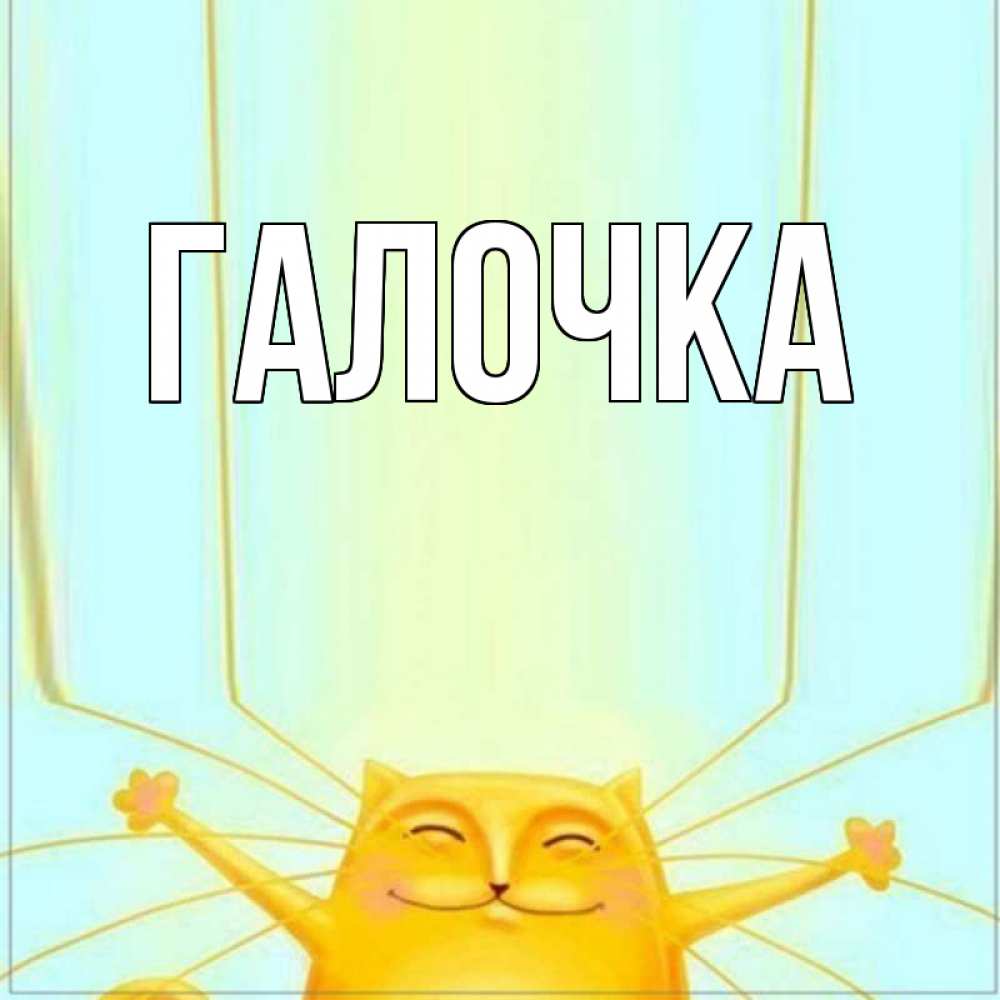 Открытка на каждый день с именем, Галочка Главная кот с усами благодарит Прикольная открытка с пожеланием онлайн скачать бесплатно 