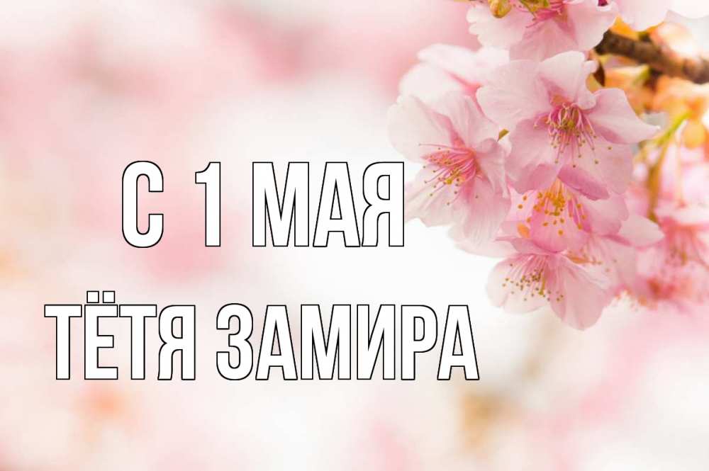 Открытка на каждый день с именем, Тётя-Замира С 1 мая С 1 мая Прикольная открытка с пожеланием онлайн скачать бесплатно 
