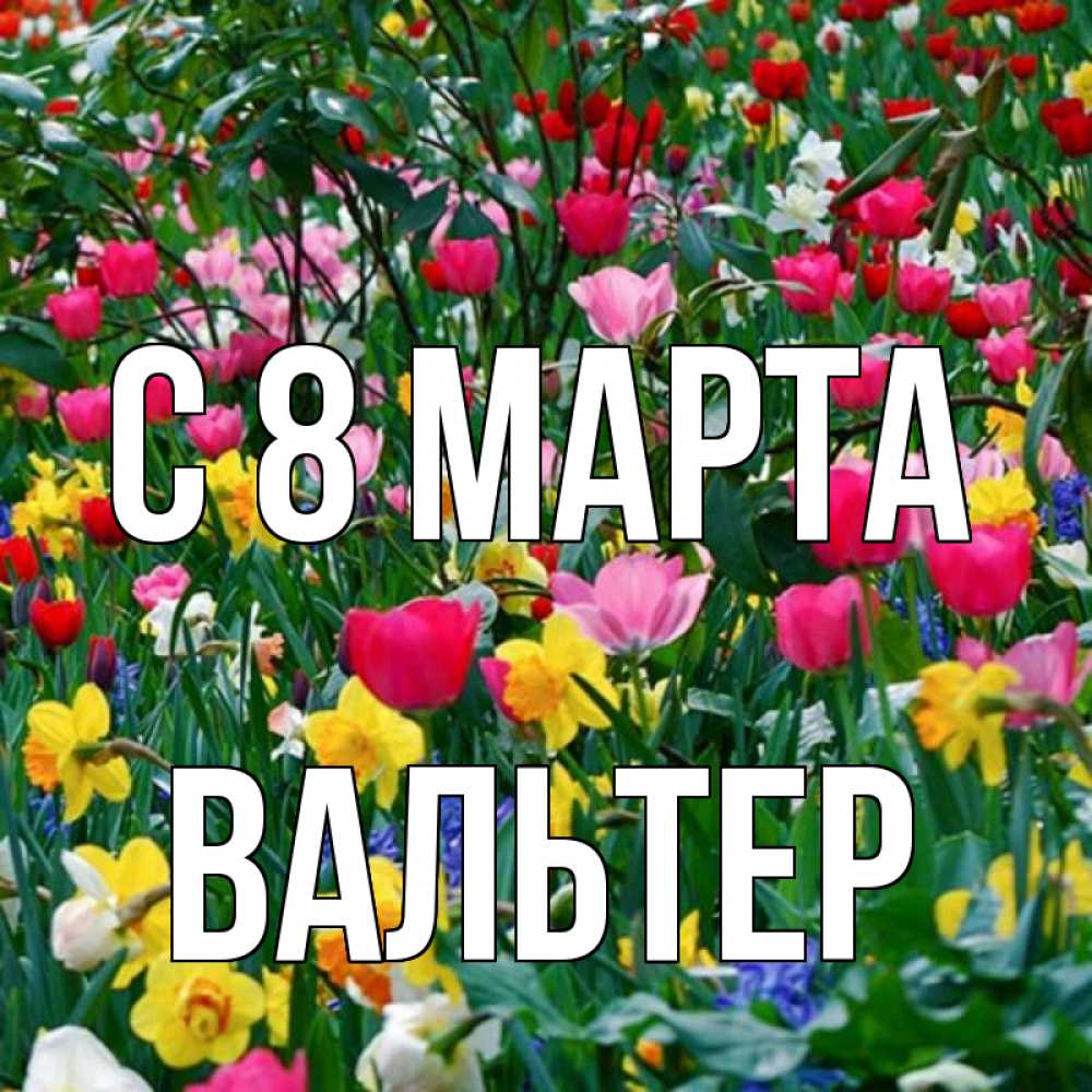 Открытка на каждый день с именем, Вальтер С 8 марта с международным женским днем поздравления для женщины Прикольная открытка с пожеланием онлайн скачать бесплатно 