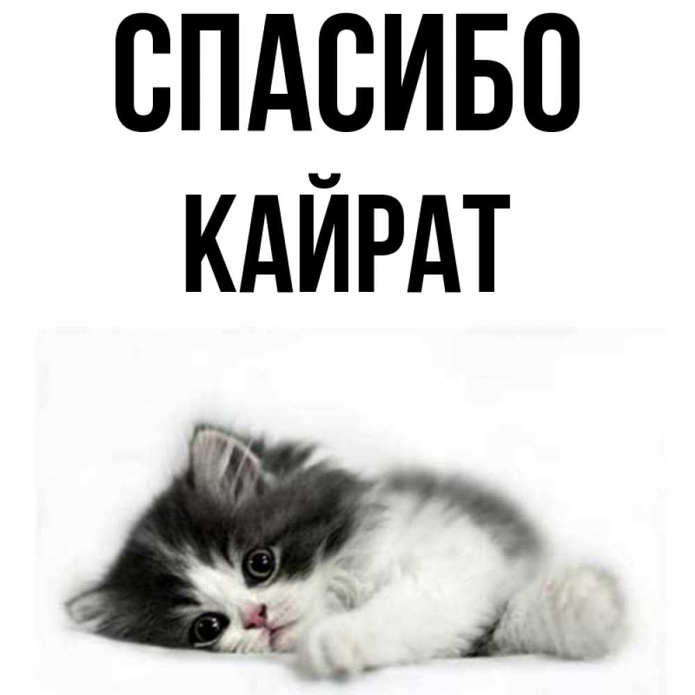 что означает имя кайрат