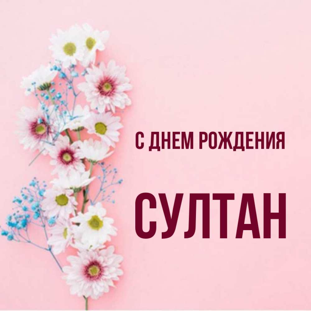 С Днем Рождения Султан!