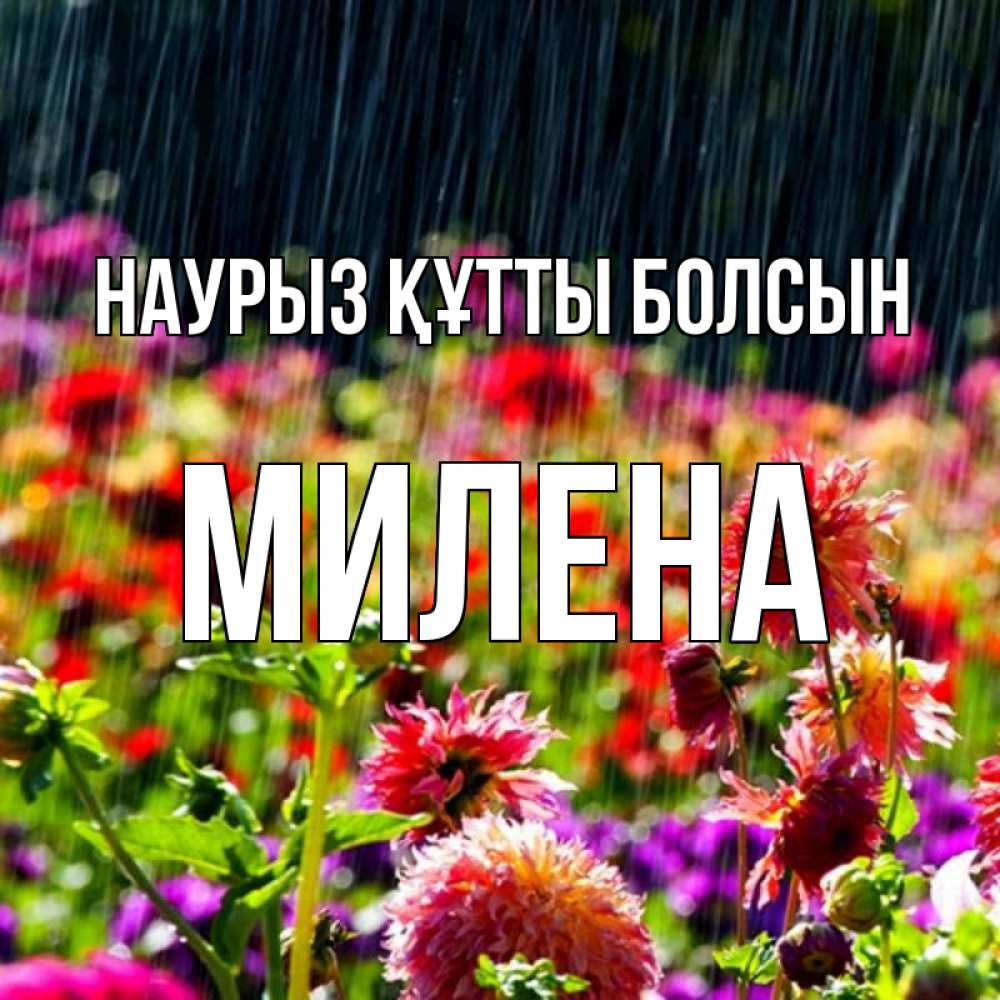 Открытка на каждый день с именем, Милена Наурыз құтты болсын цветы под дождиком к наурызу Прикольная открытка с пожеланием онлайн скачать бесплатно 