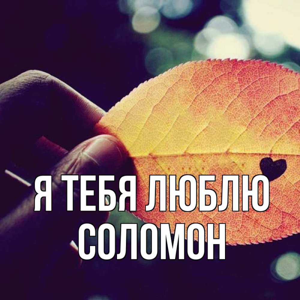 Открытка на каждый день с именем, Соломон Я тебя люблю держу лист Прикольная открытка с пожеланием онлайн скачать бесплатно 