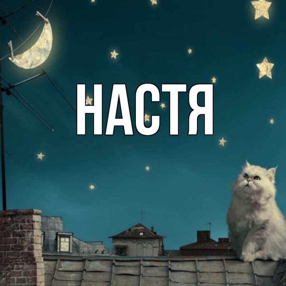 Спокойной ночи настя текст Спокойной ночи настя текст