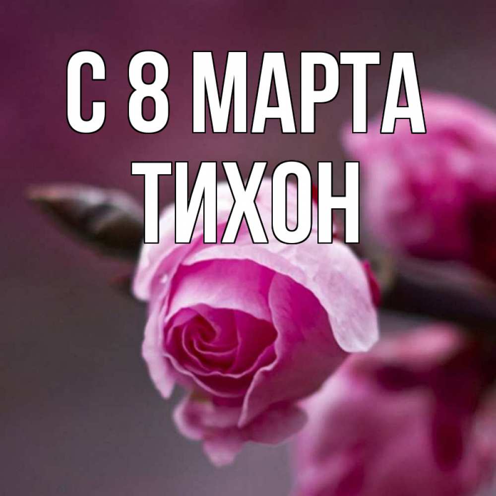 Открытка на каждый день с именем, Тихон С 8 МАРТА весна Прикольная открытка с пожеланием онлайн скачать бесплатно 