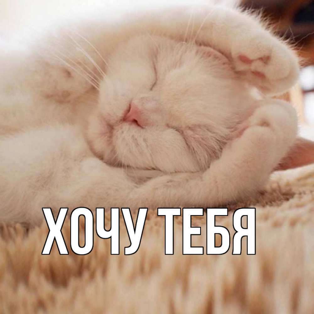 Открытка на каждый день с именем, Хочу-тебя Главная для любимой девушки милота Прикольная открытка с пожеланием онлайн скачать бесплатно 