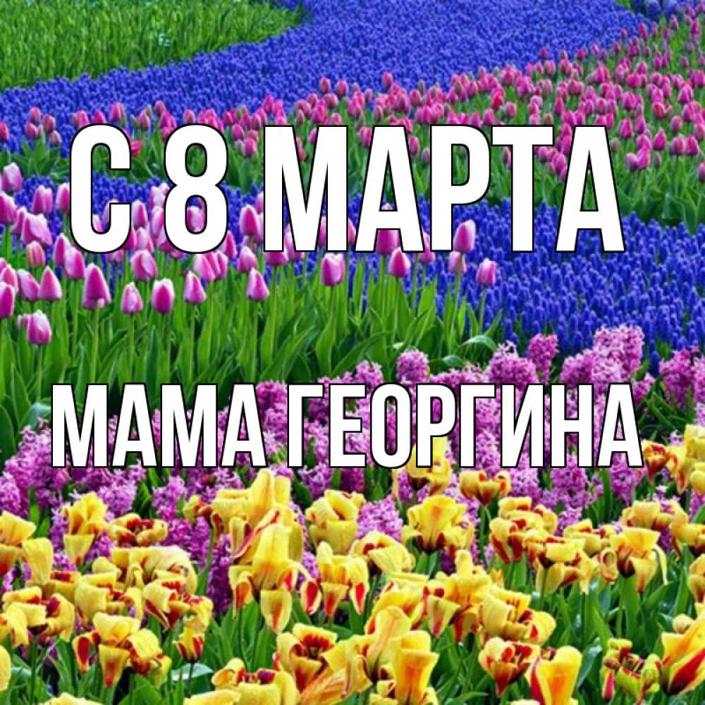 Открытка на каждый день с именем, Мама-Георгина С 8 марта цветы Прикольная открытка с пожеланием онлайн скачать бесплатно 