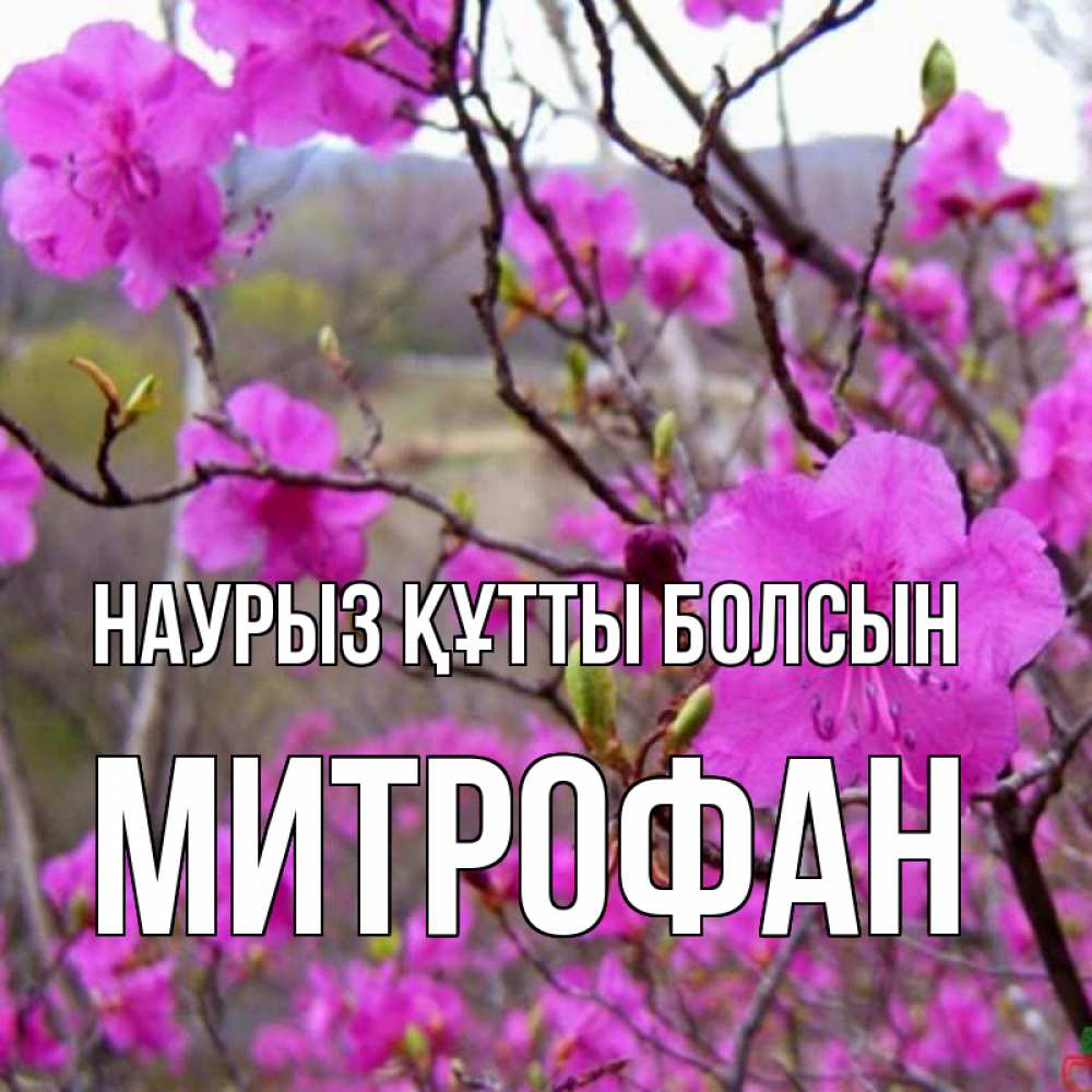 Открытка на каждый день с именем, Митрофан Наурыз құтты болсын наурыз мейрамы кутты болсын Прикольная открытка с пожеланием онлайн скачать бесплатно 