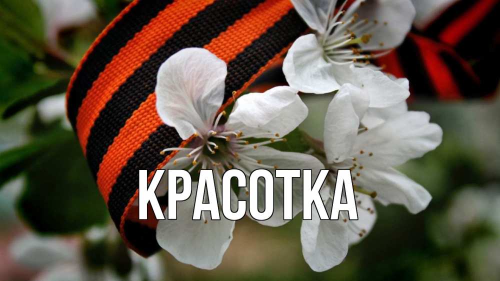 Открытка на каждый день с именем, красотка Главная 23 февраля Прикольная открытка с пожеланием онлайн скачать бесплатно 